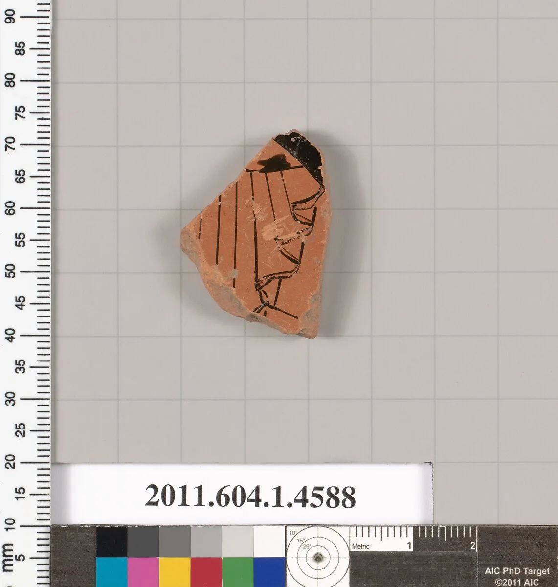 Terracotta fragment of a kylix (drinking cup) — Unknown