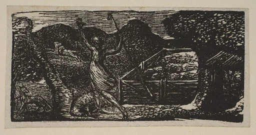 Shepherd Chases Away a Wolf, from Thornton's "Pastorals of Virgil"