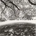 Rockwood, Tarrytown, New York — Lee Friedlander