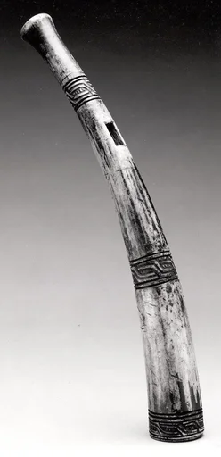 Side-blown Trumpet (akohen)