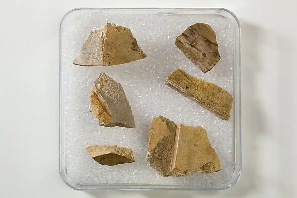 Relief fragments, Khety — Unknown