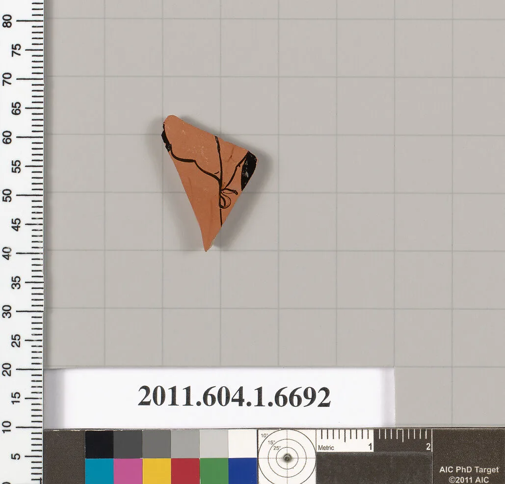 Terracotta fragment of a kylix (drinking cup) — Unknown
