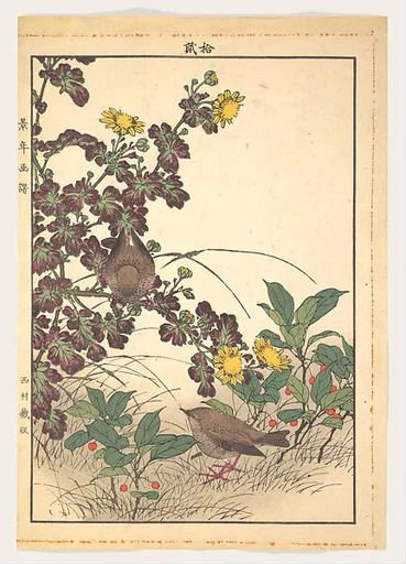 Keinen kachō gafu 景年花鳥畫譜|Two Birds and Crysanthemums, from Keinen kachō gafu (Keinen’s Flower-and-Bird Painting Manual)