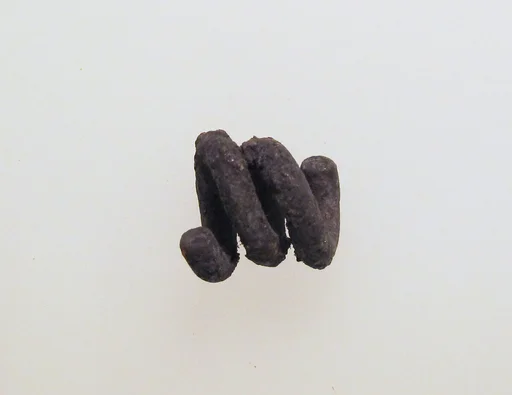 Earring or spiral