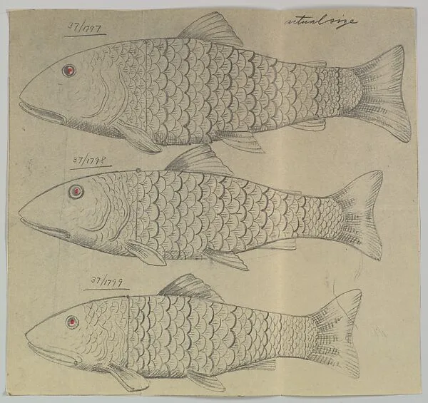 Design for Three Silver Fishes — Anonymous, Czech, early 20th century