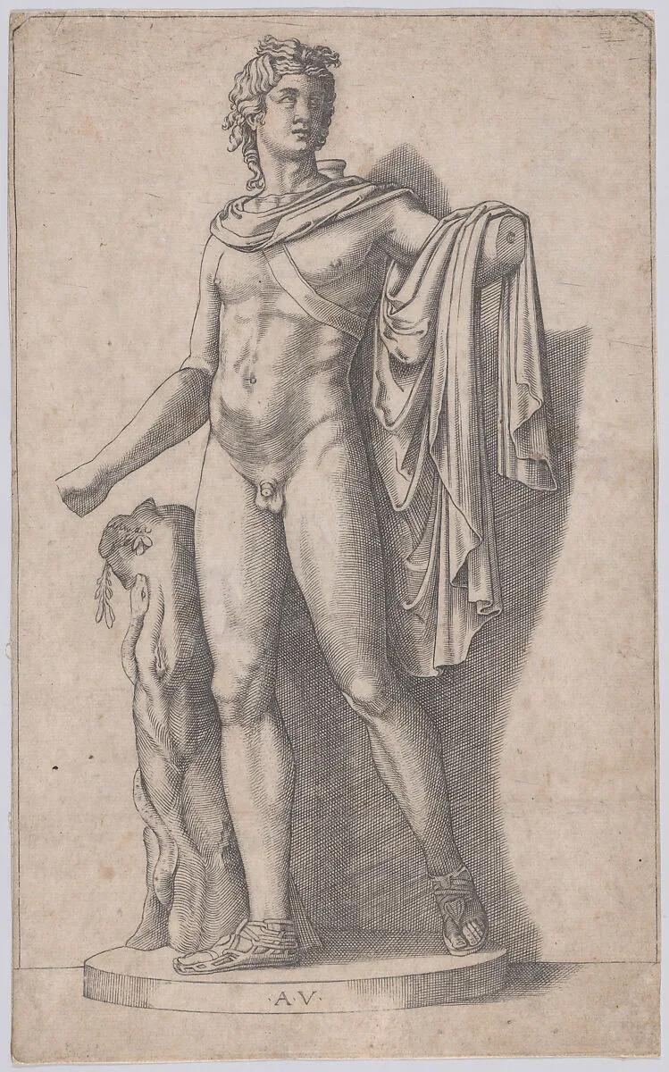 Apollo — Agostino Veneziano (Agostino dei Musi)