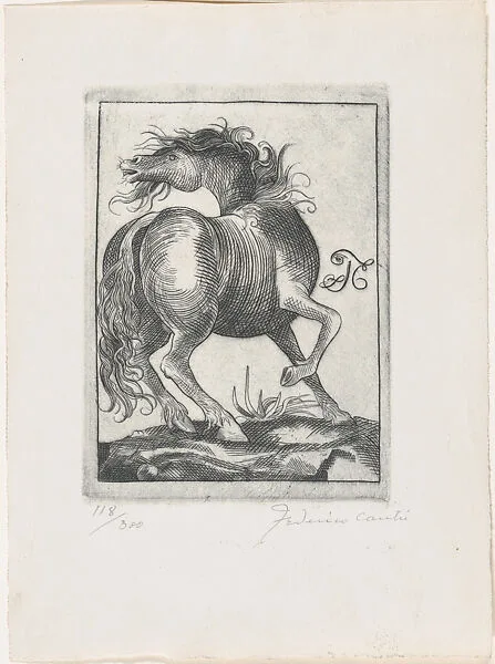 A horse, head turned left, viewed from behind — Federico Cantù