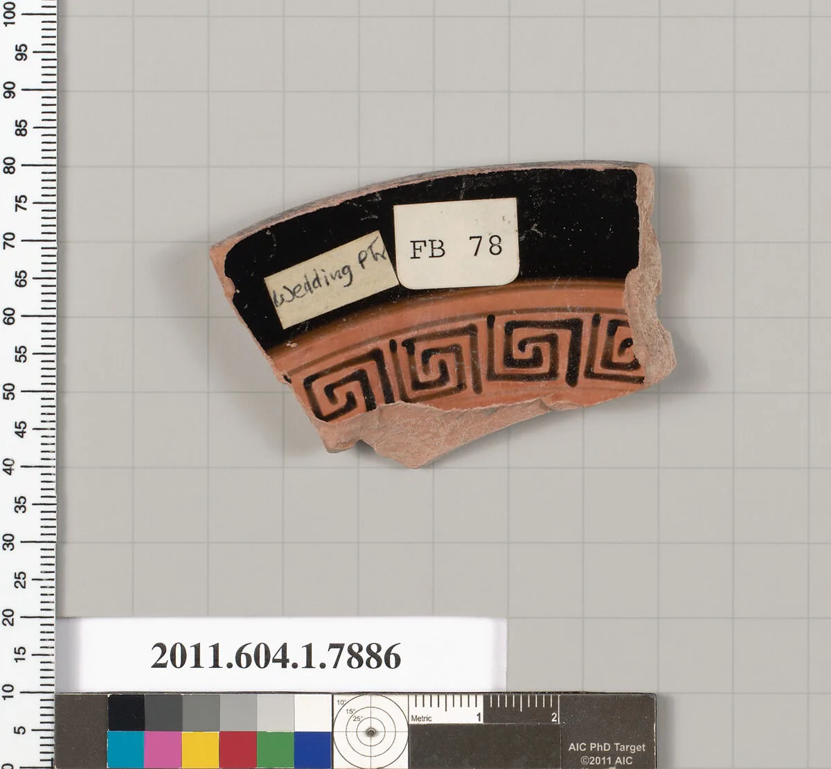 Terracotta fragment of a kylix (drinking cup) — Wedding Painter