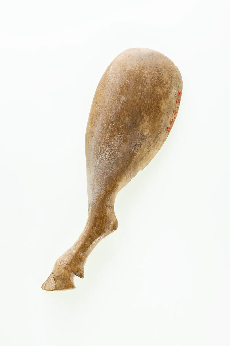 Ox leg dish — Unknown