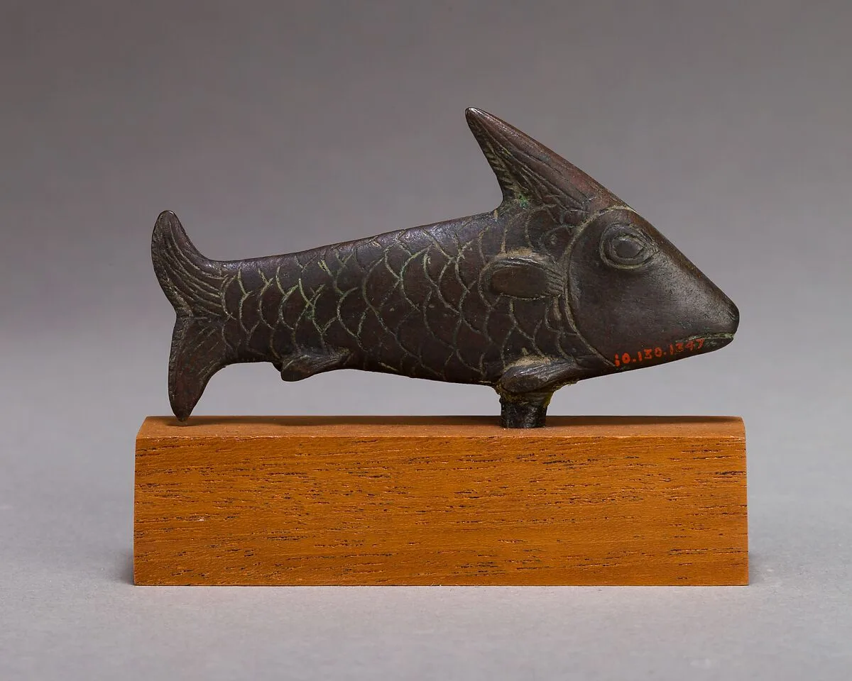 Lepidotus fish — Unknown