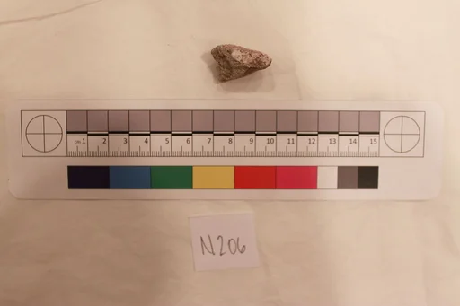 Stucco Fragment