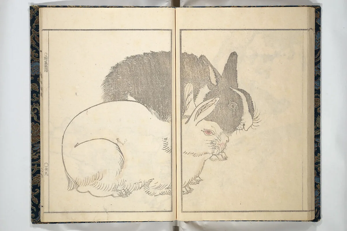 埼鳳画譜|Kihō Picture Album (Kihō gafu 埼鳳画譜) — Kawamura Kihō 河村琦鳳
