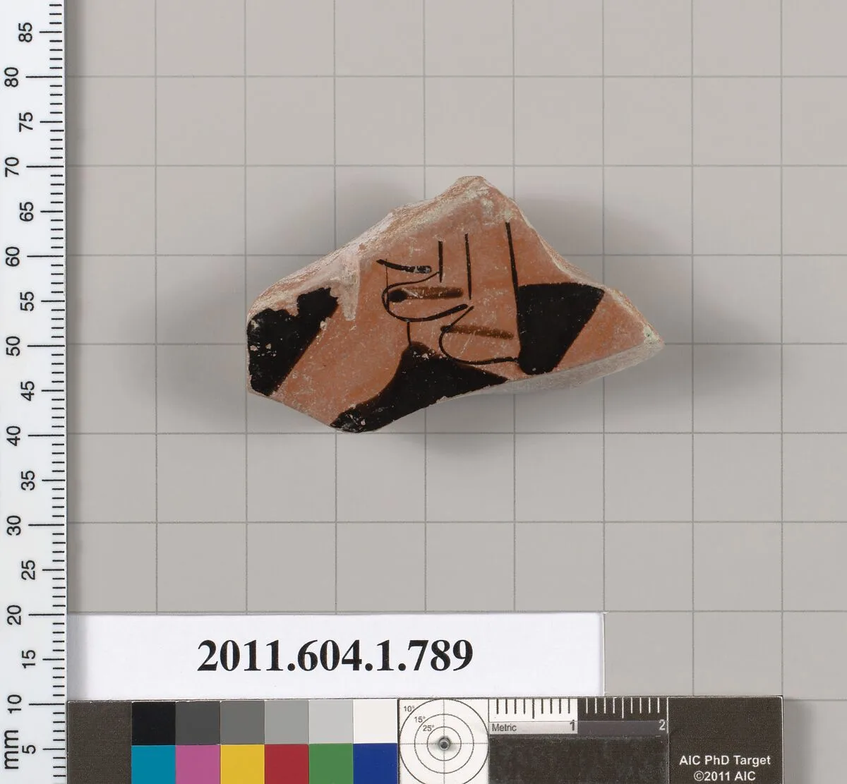Terracotta fragment of a kylix (drinking cup) — Unknown
