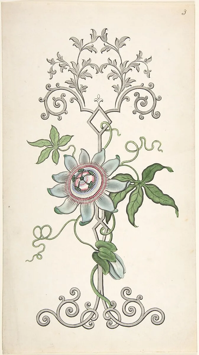 Design for Panel Decoration Centered on a Passion Flower — J. Hulme