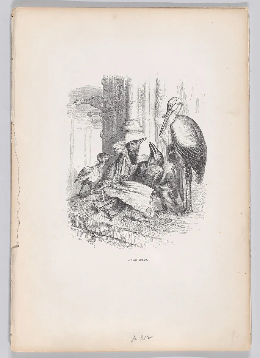 "I was a widow" from Scenes from the Private and Public Life of Animals — Louis-Henri Brevière|Honoré de Balzac|J. J. Grandville