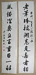 對聯|Couplet for Xie Zhiliu'e Eightieth Birthday — Sha Menghai