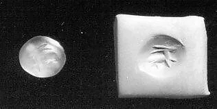 Stamp seal — Unknown
