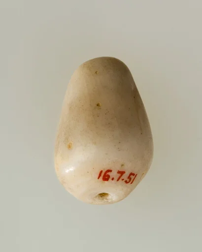 Shell pendant or bead
