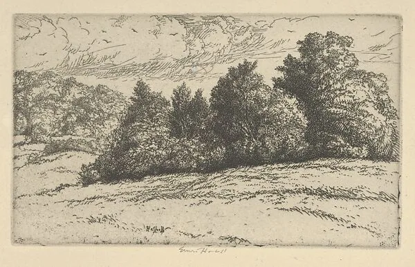Meadow Trees — Ernest Haskell