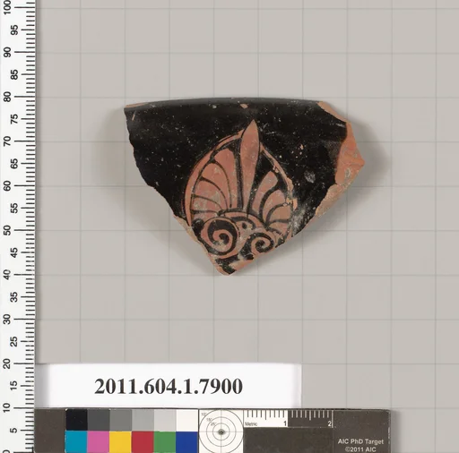 Terracotta rim fragment of a kylix (drinking cup)