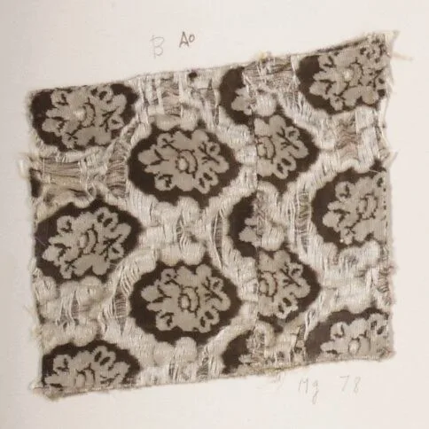 Fragment — Unknown