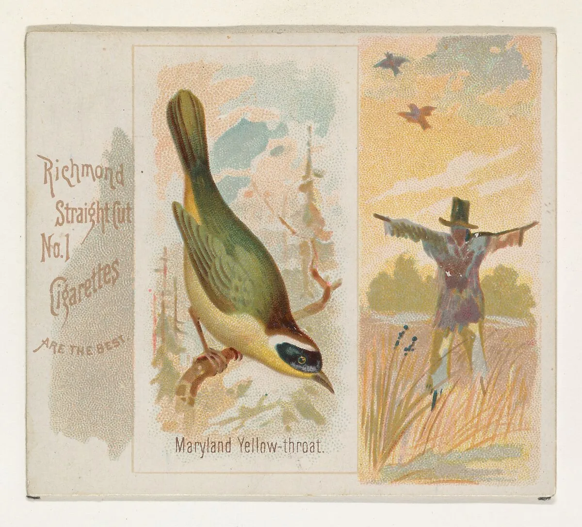 Maryland Yellow-throat, from the Song Birds of the World series (N42) for Allen & Ginter Cigarettes — Allen & Ginter|George S. Harris & Sons