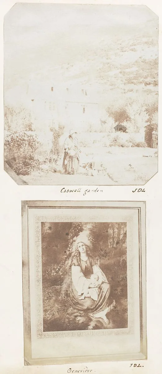 Caswell Garden; Geneviève — John Dillwyn Llewelyn