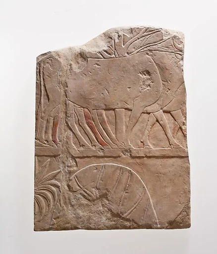 Cast of Hatshepsut's Punt Reliefs: Reception in Punt