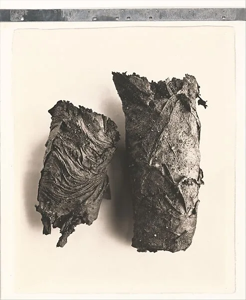 Cigarette No. 69 — Irving Penn