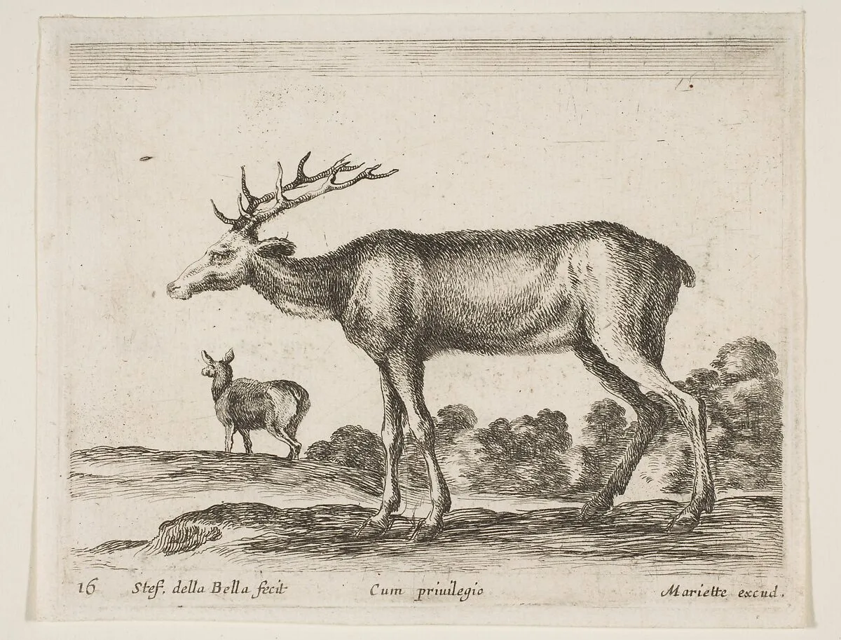 Stag, plate 16 from "Various Animals" (Diversi Animali) — Stefano della Bella|Pierre Mariette