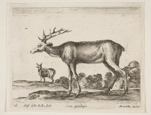 Stag, plate 16 from "Various Animals" (Diversi Animali)