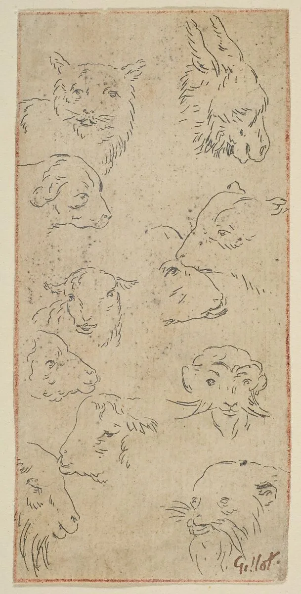 Study of animal heads — Claude Gillot