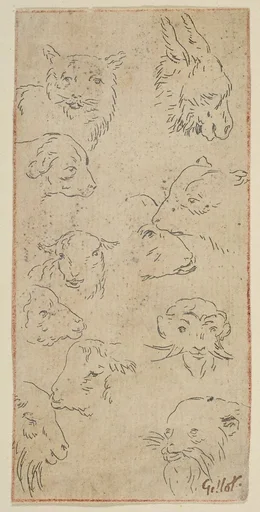 Study of animal heads