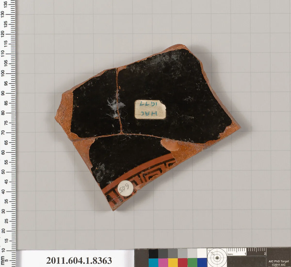 Terracotta fragment of a kylix (drinking cup) — Unknown