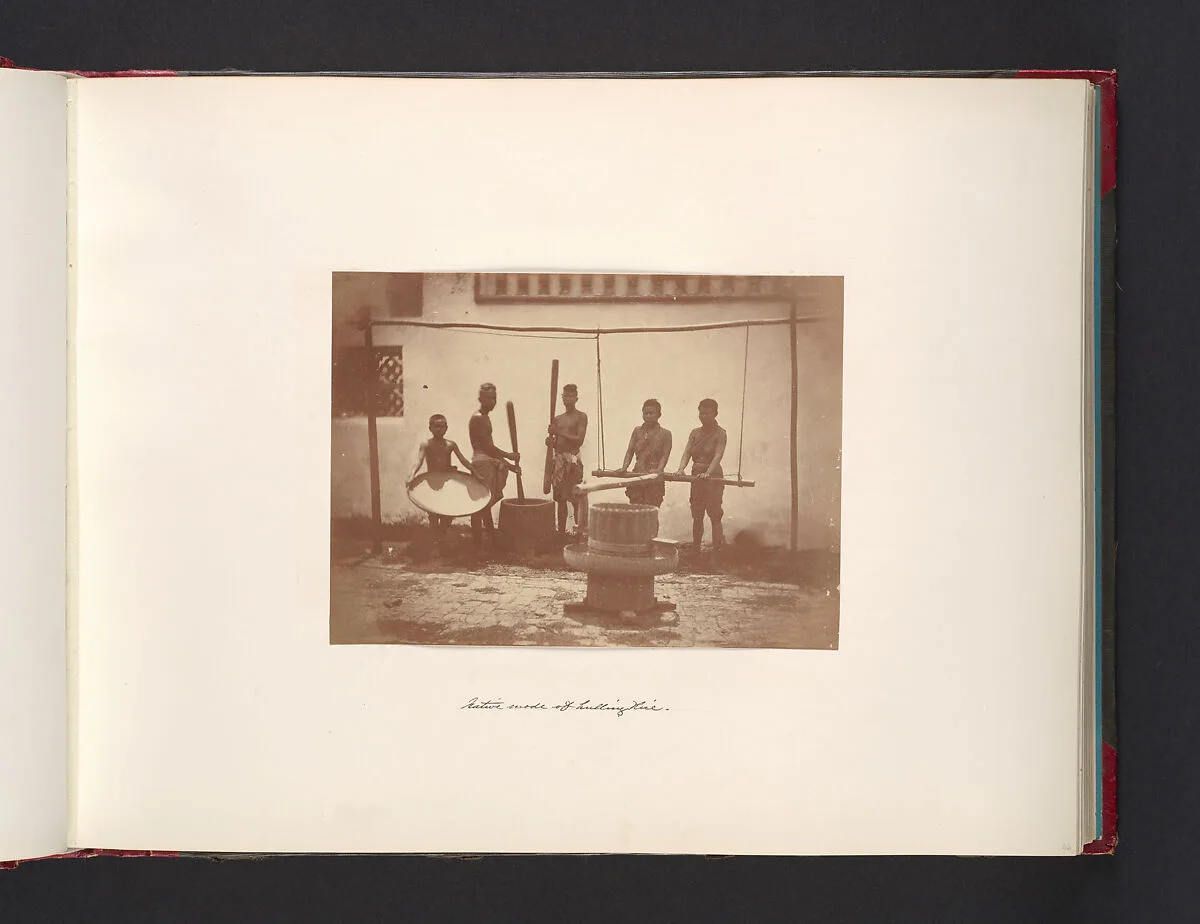 Native Mode of Hulling Rice — John Thomson