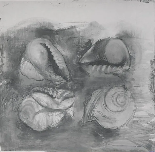 Shells — Jim Dine