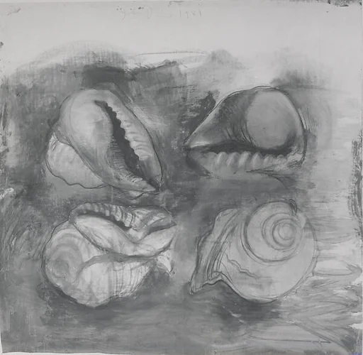 Shells