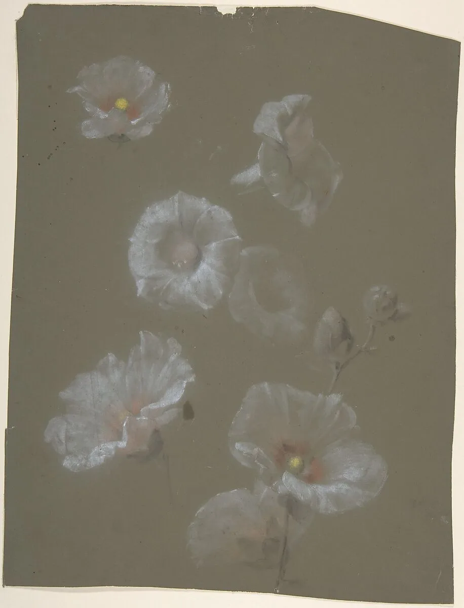 White Hollyhocks — Antoine Berjon