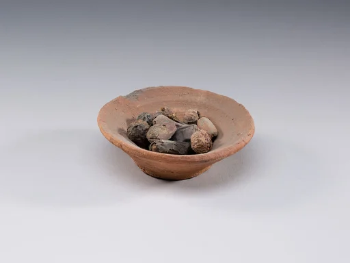 Bowl of Dates
