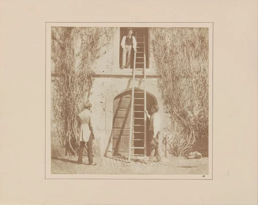 The Ladder