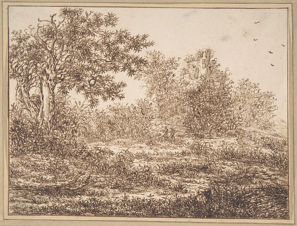 Dune Landscape with Trees — Claes van Beresteyn|Adriaen Hendriksz. Verboom