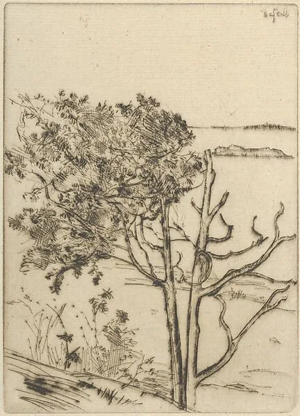 Ragged Tree – Maine — Ernest Haskell