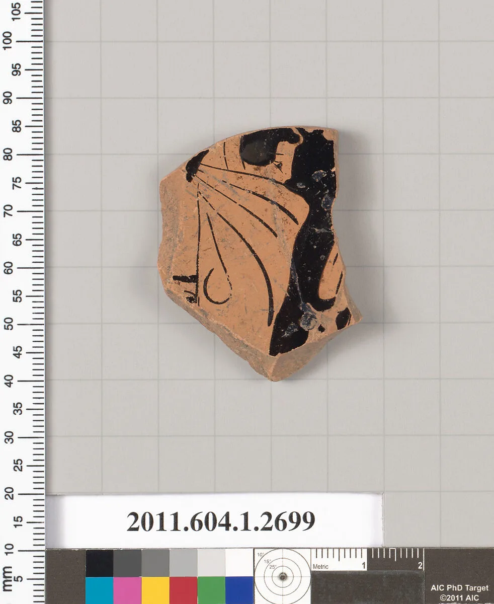 Terracotta fragment of a kylix (drinking cup) — Unknown