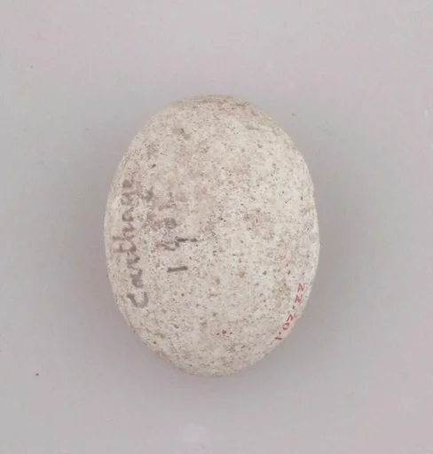 Ball, sling