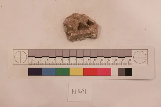 Stucco Fragment