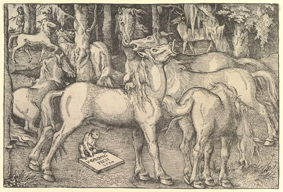 Group of Seven Horses — Hans Baldung (called Hans Baldung Grien)