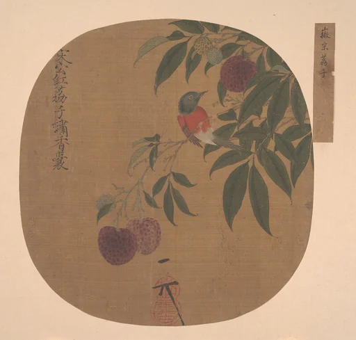 明 佚名(舊傳宋徽宗) 荔枝圖 冊頁|Bird on a Lychee Branch