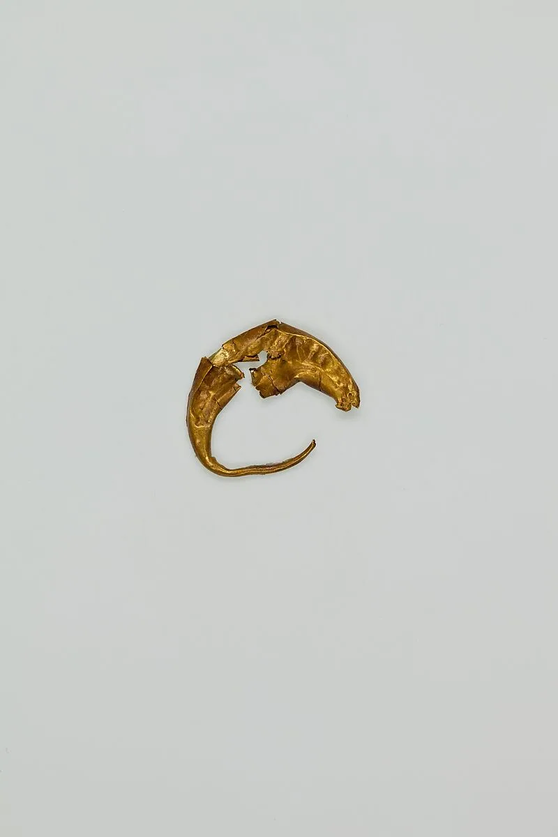 Earring — Unknown