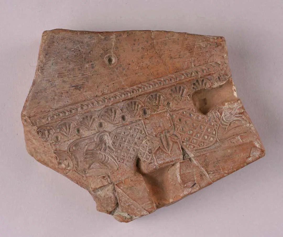 Mold — Unknown