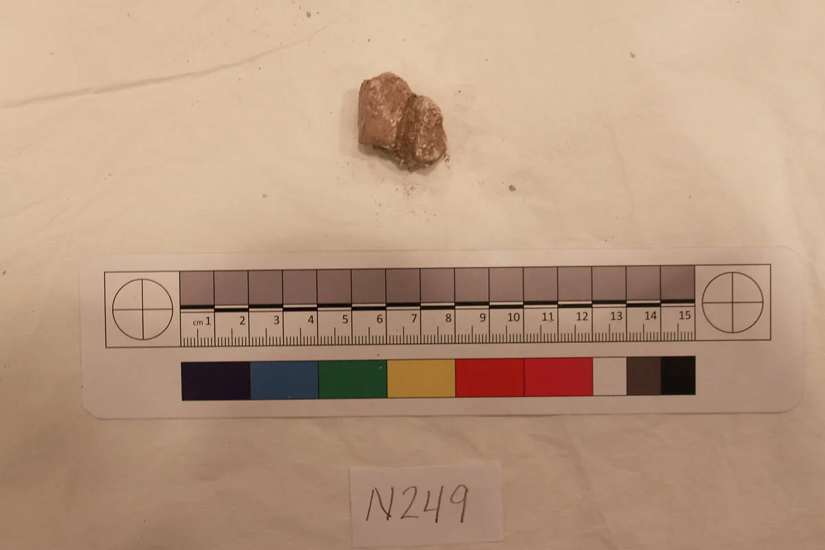 Stucco Fragment — Unknown